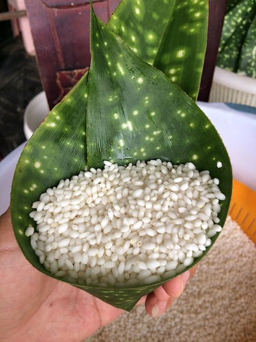 网站格式——5.jpg