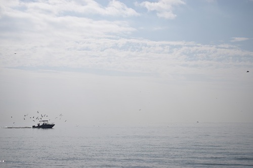 fl000040.jpg