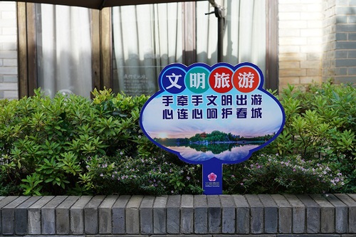 DSC04517.jpg