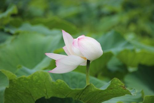 IMG_1745_副本.jpg