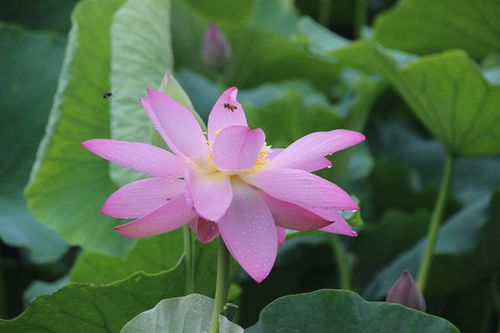 IMG_4347_副本.jpg
