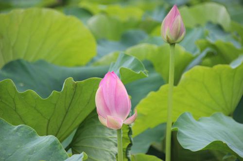 IMG_1748_副本.jpg