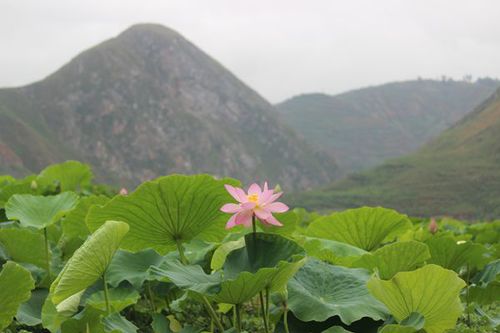 IMG_4483_副本.jpg