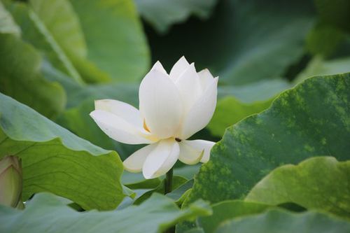 IMG_1756_副本.jpg