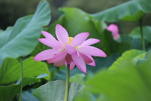 IMG_4372_副本.jpg