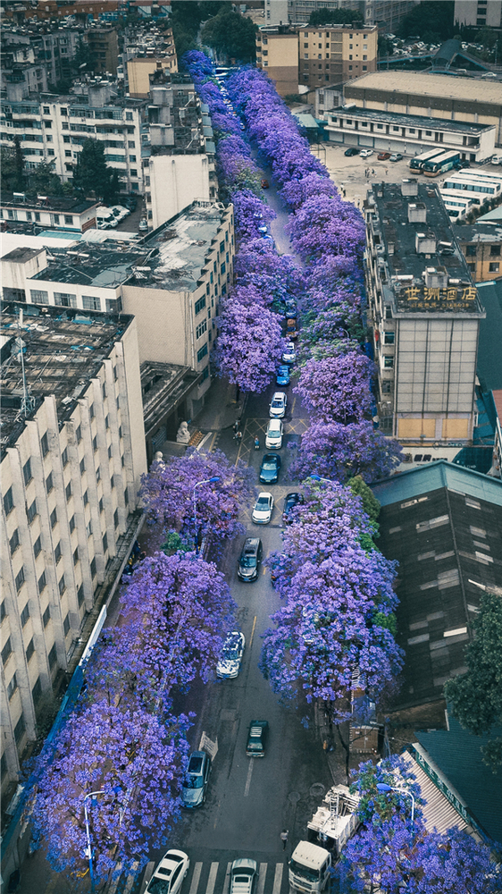 1.车在花中走，人在画中行