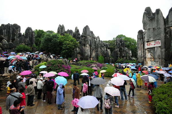 雨中石林，魅力不减.jpg