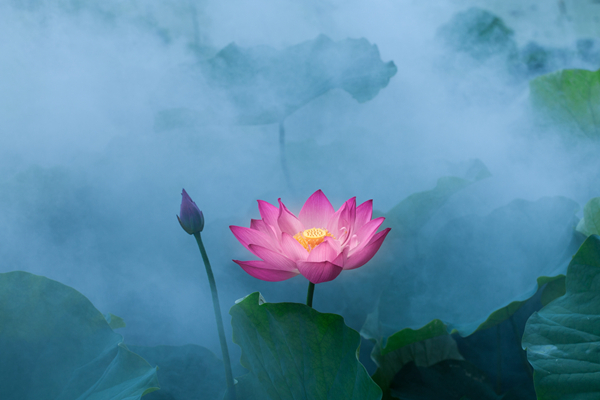 雾里看花_副本.jpg