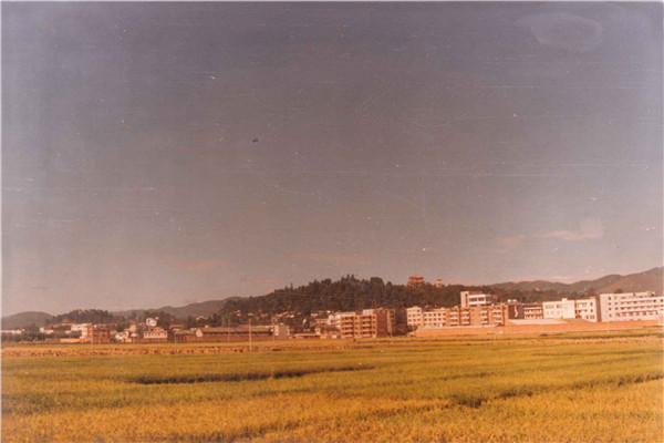曾经的城郊5.jpg