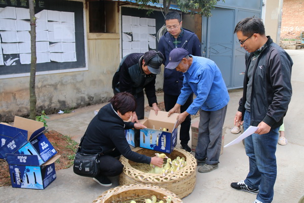 纪检干部向对口帮扶贫困户发放禽苗助力脱贫攻坚.jpg
