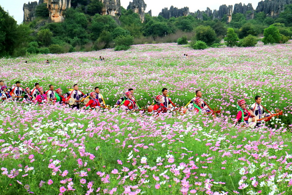 花海闹腾.jpg