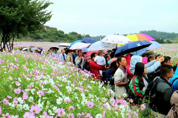 游人如织.jpg