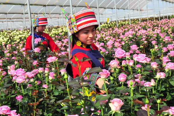 鲜花经济惹人醉.jpg