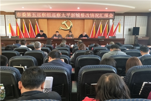 太平新城汇报会1.jpg