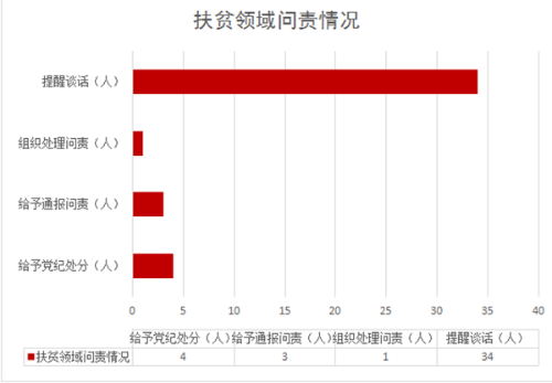 问责情况.png