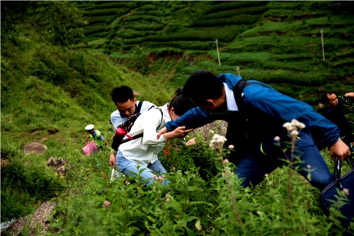 莲华 (3).jpg