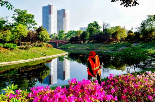 城市因你而美丽。天刚微亮，城市美容师已开始一天的工作，谢谢你们！.jpg
