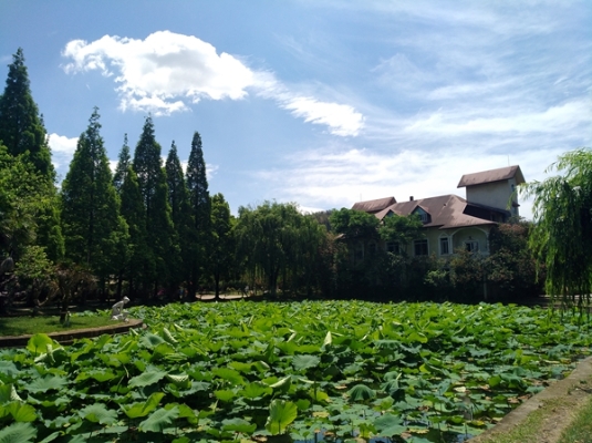 立夏2.jpg
