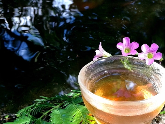 立夏6.jpg