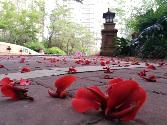立夏9.jpg