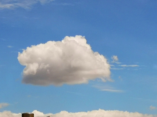 1560163578728034843.jpg