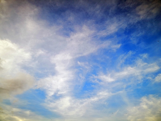 1560418856896032764.jpg