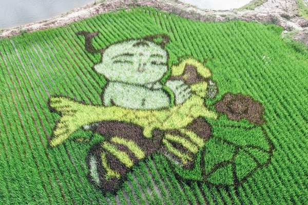 2.南羊街道羽弘种植园DJI_0035-3_副本.jpg