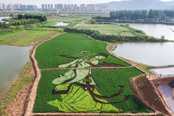 3.南羊街道羽弘种植园DJI_0006-3_副本.jpg