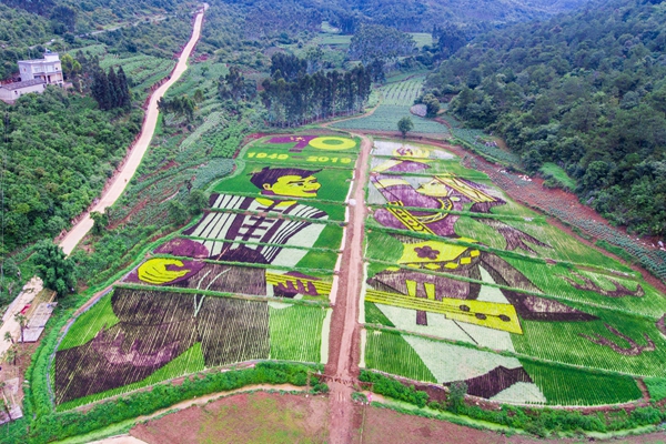 6。九乡麦地冲DJI_0014-4_副本.jpg