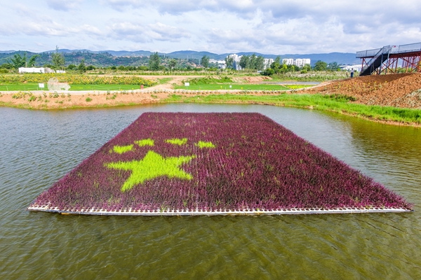 ,9，南羊街道羽弘种植园DJI_0027-2_副本.jpg