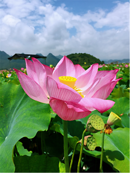 图片5