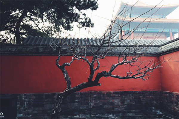 微信图片_20190711155108_副本.jpg