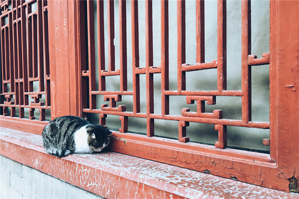 微信图片_20190711155057_副本.jpg