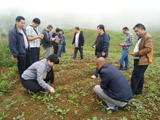 播卡村包村科级干部李彦和相关部门领导_副本.png