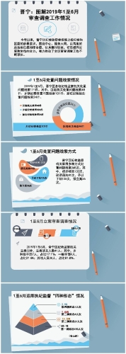 1-6月审查调查情况.jpg