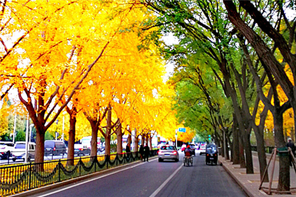 IMG_20181105_192817_副本.jpg
