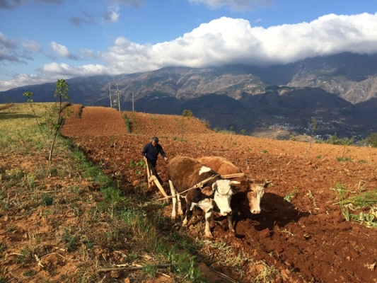白露种高山，秋分种平川。微信图片_20190903173105_副本.jpg