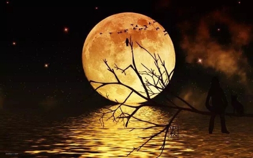 1568276734068076053.jpg 1 (1).jpg