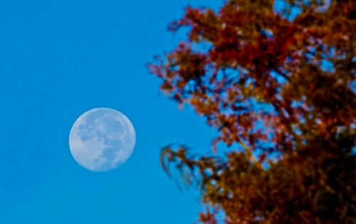 1568277030319065553.jpg 1 (7).jpg