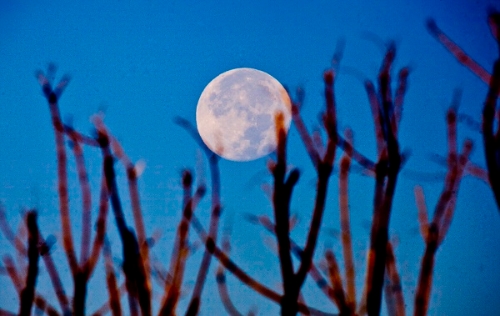 1568277045528027477.jpg 1 (8).jpg