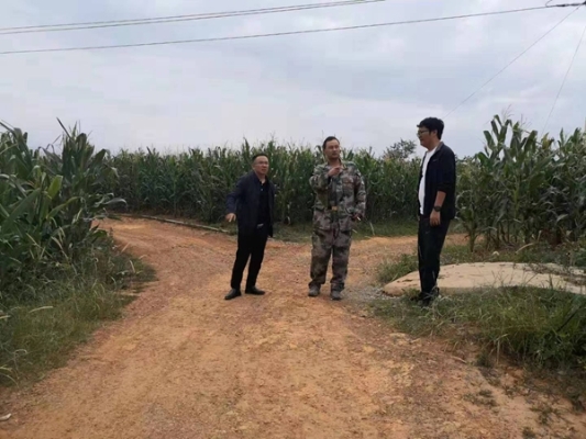 检查组深入田间地头对扶贫项目推进情况进行了解核实微信图片_20190906081402_副本.jpg