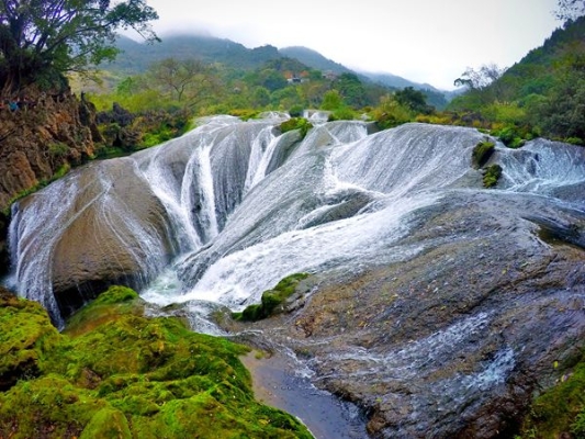 1570443649683053664.jpg 寒露湿青苔,别来蓬鬓秋。IMG_6616张海燕_副本_副本.jpg