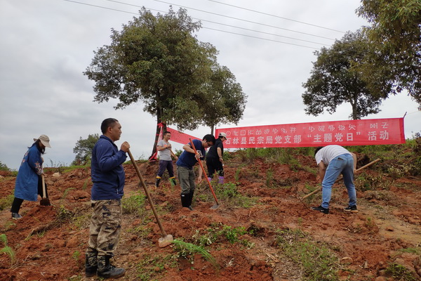 县民宗局开展义务植树，为家乡添一片绿.jpg