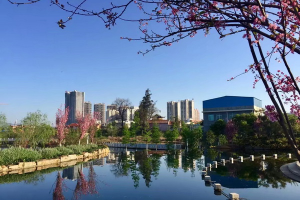 灿烂花儿相对笑，叮咚流水应和溶.jpg
