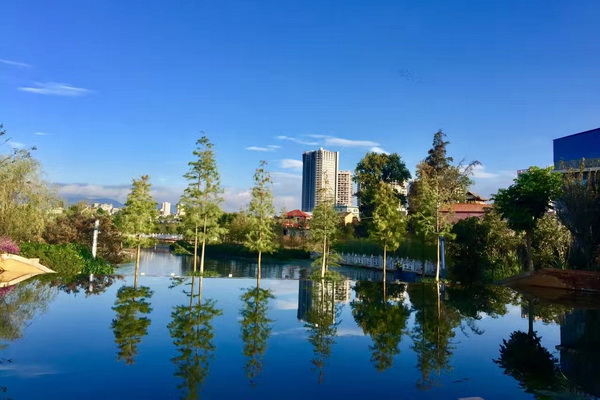 步步走来风拂面，一身凉爽怕来迟.jpg