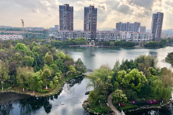 大兴土木轰隆沸，脱颖新区笋竞跻.jpg