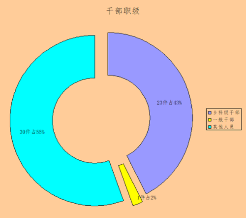 干部职级_副本.png