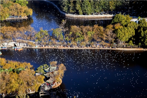 原图1（小雪+云南省昆明市五华区纪委监委）.jpg