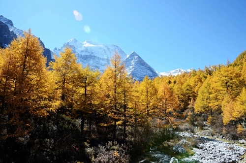 树树皆秋色，山山唯落晖。.jpeg