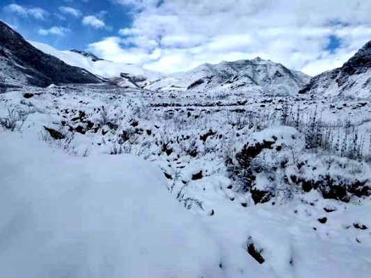 渺万里层云，千山暮雪，只影向谁去？_副本_副本.jpg